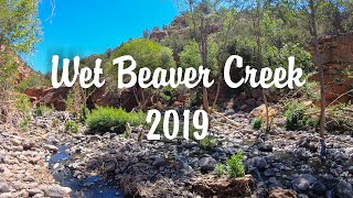 FULL SEND FROM THE SANDSTONE | THE CRACK | Wet Beaver Creek, AZ | Cliff Diving, Hiking, Sedona Hikes