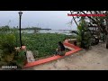 see the beautiful backwater view from a homestay at kumbalangi near kochi.