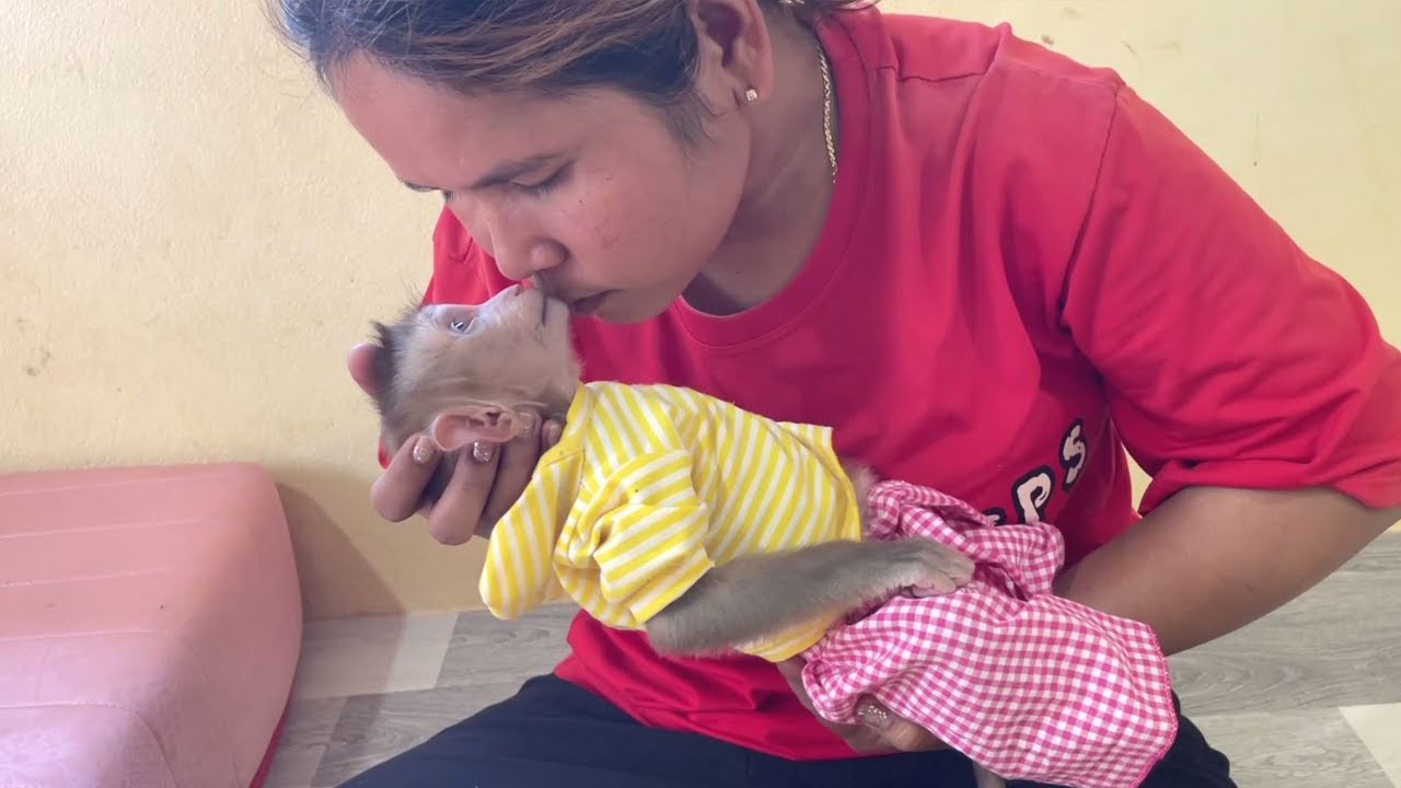 Mom Kissing A Baby Convince To Sleep Very Sensational Mom Baby Youtube