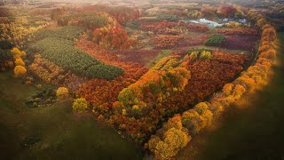 Kolory Jesieni / Colors of Autumn