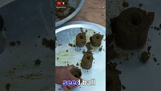 seed ball