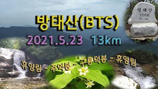 방태산(산계의 BTS) (희귀꽃 군락지, 공룡이 나올 듯한 경관)