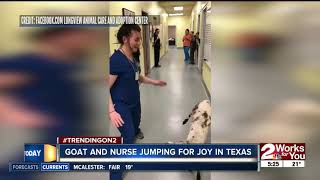 Goat, Nurse jump for joy in Texas