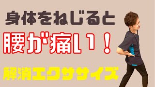 【腰痛】身体を捻ると腰が痛い！【解消エクササイズ】分離症になる前に！ 整体院 尚〜NAO〜