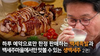 [국순당②] 국순당 백세주마을, 백세주 약재로 만든 백세족발! 매년 1000포기씩 직접 담근 김치!! 정말 진심으로 맛있습니다! #국순당 #백세주마을 #백세족발 #직접담근김치