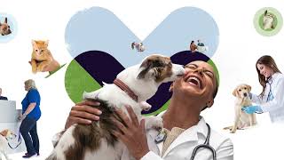 DaySmart Vet | Cloud-Based Practice Management Software