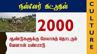 நல்லேர் கட்டுதல் 2000 வருட வேளாண் பண்பாடு 2000 years Traditional Royal Ploughing Ceremony #Tradition