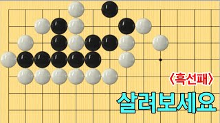 유단자사활 #51 (3단이상)