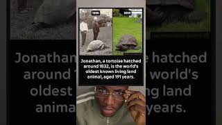 Jonathan, a tortoise is the world’s oldest known living animal, aged 191 years.