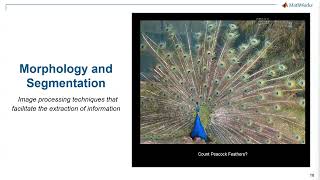 Computer Vision Part 2 Morphology & Segmentation 2022