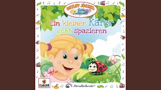 Ein kleiner Käfer geht spazieren