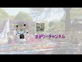 【team izumo】秦野元気まつり2023～春の陣～