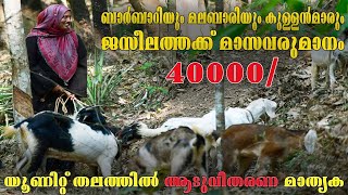 ആട് വളർത്തലിൽ നൂറു മേനി : ജസീല  കണ്ടത് വിജയം || Village lady finds Success through Goat Farming.