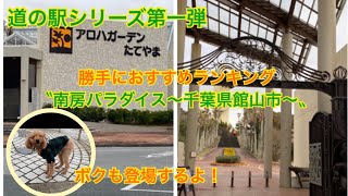 道の駅シリーズ第一弾！勝手におすすめランキング〝南房パラダイス〜千葉県館山市〜〟トイプードルのポンデュも行ったよ！