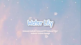 Water Lily Backsound Aesthetic Tutorial or Presentasi No Copyright