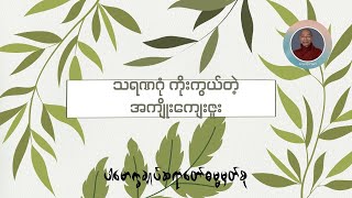 သရဏဂုံ ကိုးကွယ်တဲ့အကျိုးကျေးဇူး (@dhammasparknotes)