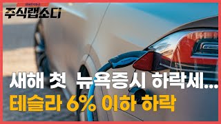 테슬라 6% 이하 하락 엔비디아 3% 상승...새해 첫  뉴욕증시 하락세