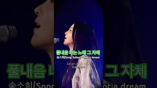 송소희 (Song sohee) - Not a Dream(이 노래를 들으면 풀냄새나는 숲속에서 힐링하는 기분이 든다) #송소희 #Songsohee #NotaDream #Kpop