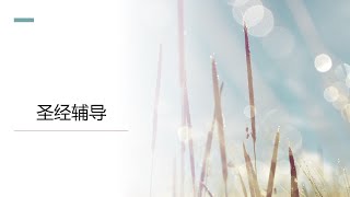 圣经辅导学（第九讲）：VI. 处理辅导问题#3： 处理怒气。