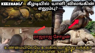 keezhadi/கீழடியில் யாளி விலங்கின் எலும்பு? உண்மையிலேயே உலகில் வாழ்ந்து வந்ததா ‘யாளி’ ?#Findtackle