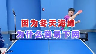 因为冬天海绵为什么容易下网