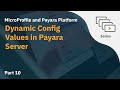 Video 10: Dynamic Config Values in Payara Server