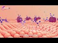 细胞膜结构 cell membrane structure