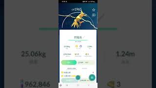 ［捕捉神獸］閃電鳥一球收#pokemongo #pokemon #寶可夢 #寶可夢go #神獸 #閃電鳥 #一球收服