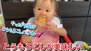 【生後573日目】とうもろこしが甘くて美味しい