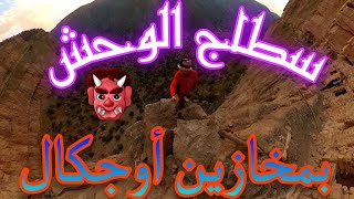 سطاج الوحش👹 بمخازين أوجكال.