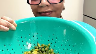 Part-2 Cleaning these dandelions and a brief breakdown of their protein and vitamins they have