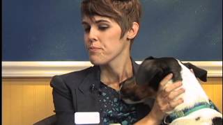 Cox Community Connection - Pensacola Humane Society