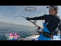 【相模湾カツオマグロ船2023】10月の追いかけマグロで44kg！（23 10 19・よしひさ丸）