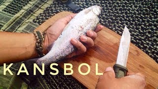 Mora Kansbol Review! Trout Cooking