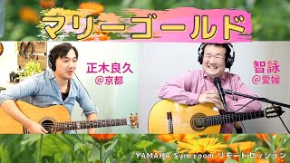 スーパーギタリスト智詠さんとリモートセッション初挑戦！/あいみょん/マリーゴールド