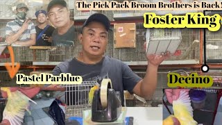 15th Vlog! Difference between Pastel Parblue and Decino by Pick Pack Broom Brothers And Foster king