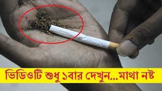 এই ভিডিওটি দেখলে গাঁজা সম্পর্কে আপনার ধারণা পাল্টে যাবে! দেখুন গাঁজার কত গুন!! Bangla Exclusive News