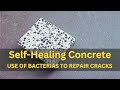 Self-Healing Concrete: A Game-Changer for the Construction Industry