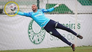 Weverton Pereira HEAVY DUTY TRAINING || Reflexes and AGILITIES 2021 HD