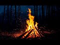 campfire in foggy forest fire relaxing sounds