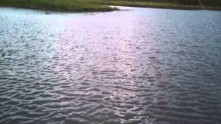 троллинг на кумском водохранилище троллинг на кумском водохранилище