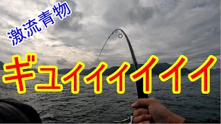 [ショアジギング] 自己最大級を釣ってしまった