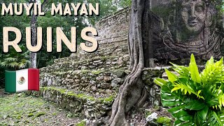 Tour of Muyil Mayan Ruins 🇲🇽