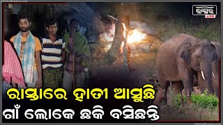 ହାତୀକୁ ପାନେ ଦେବା ପାଇଁ  ଗାଁ ଲୋକେ ବନାଇଛନ୍ତି ବଡ଼ ପ୍ଲାନ୍, ରାତିରେ ରାସ୍ତା ଉପରେ ଶୋଇଛନ୍ତି ଗ୍ରାମବାସୀ