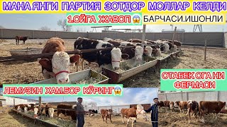 МАНА ЯНГИ ПАРТИЯ ЗОТДОР МОЛЛАР КЕЛДИ БАРЧАСИ ИШОНЧЛИ ЛЕМУЗИН ХАМ БОР 1.ОЙГА ЖАВОП КЎРИНГ 21-февраля