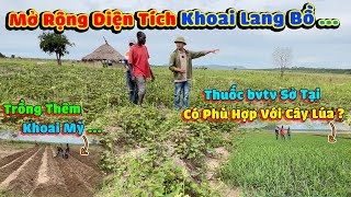 Thế Nhân || Đội Nông Nghiệp Bản Caiti Hào Hứng Với Kế Hoạch Mở Rông Thêm Các Loại Cây Trồng Mới .