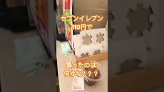 セブンイレブンで110円で買ったもの、何かな？？