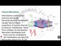 ultra structure of bacteria kwa microbiologist exam kpsc waterauthority