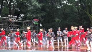 帯屋町筋＠2015　原宿スーパーよさこい