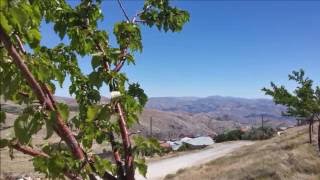 Gülistan-Haşim Tokdemir - Kinge Wari (Malatya Darende  Atmalı Köyü)